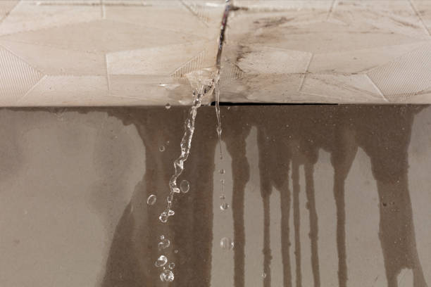 Professional Structural Drying technician working in Kimbolton, OH